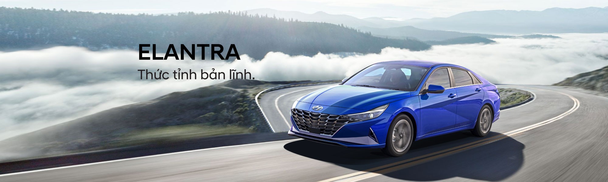 Trang Chủ 71 Elantra