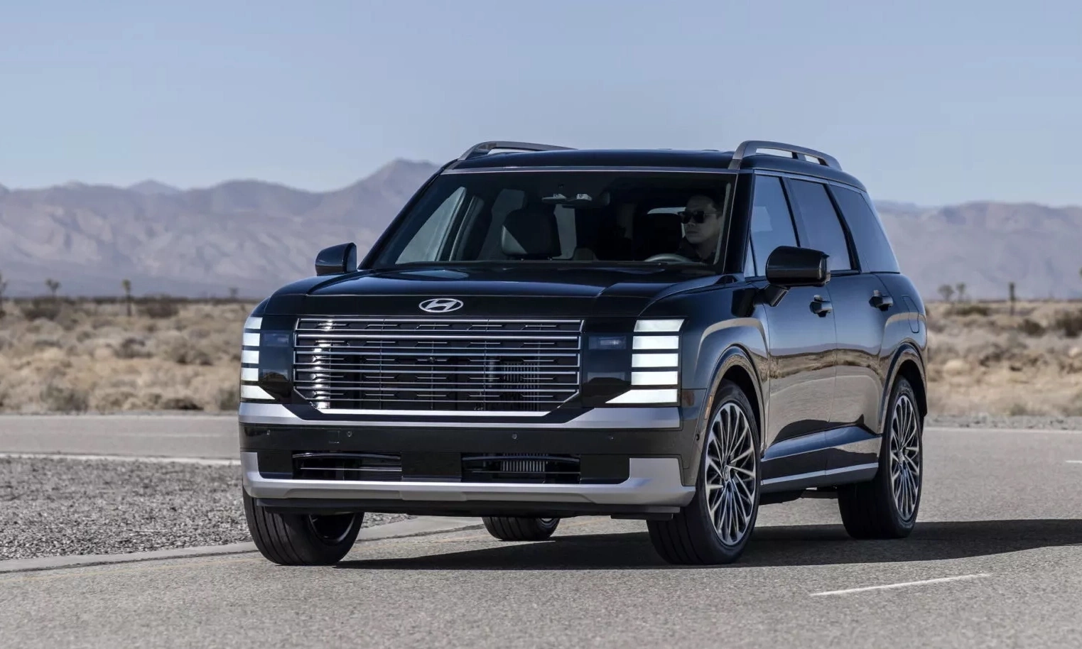 Hyundai Palisade 1 4378 174487 7373 3920 1774483129