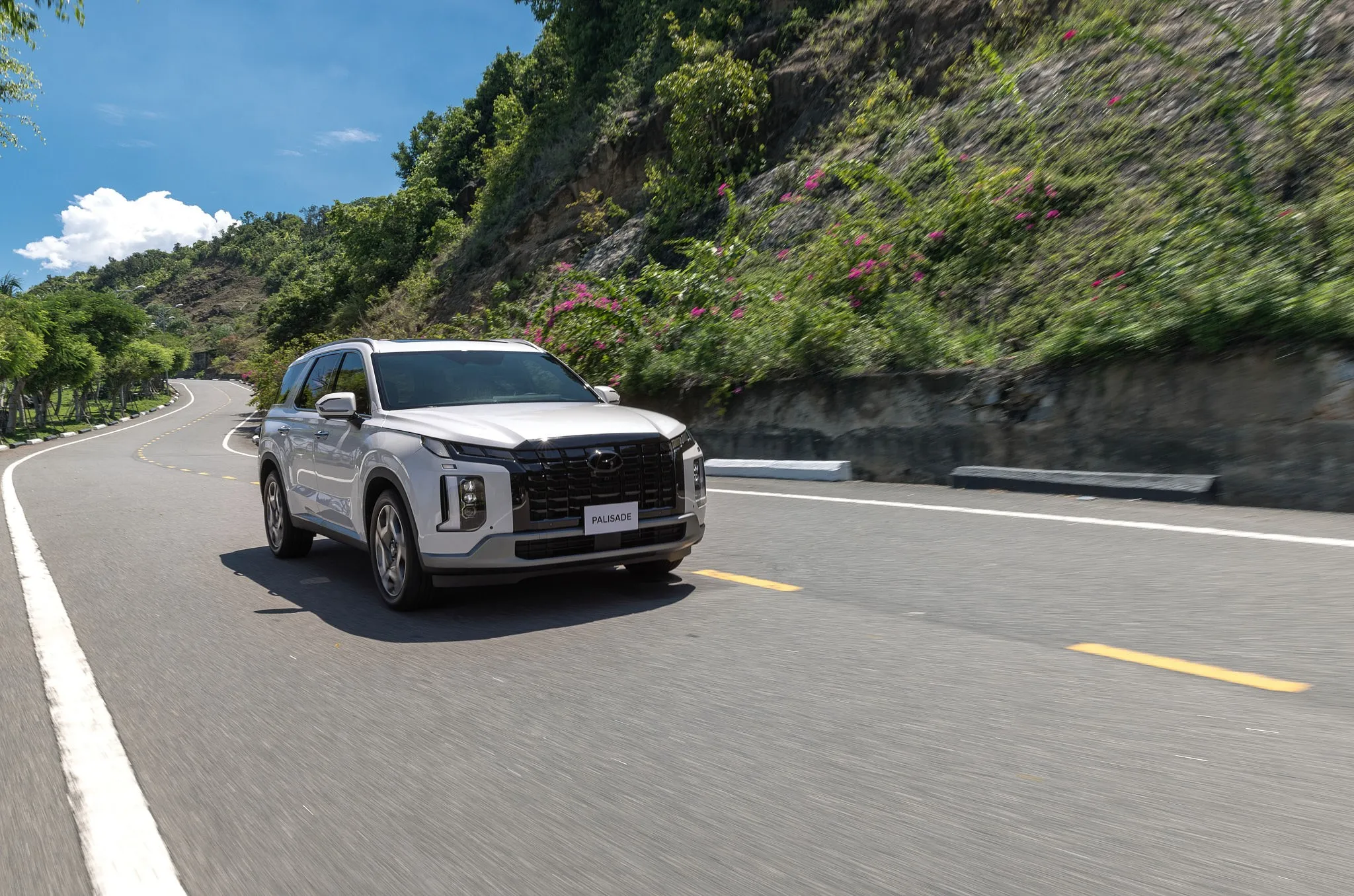 Hyundai Palisade Hyundai Palisade