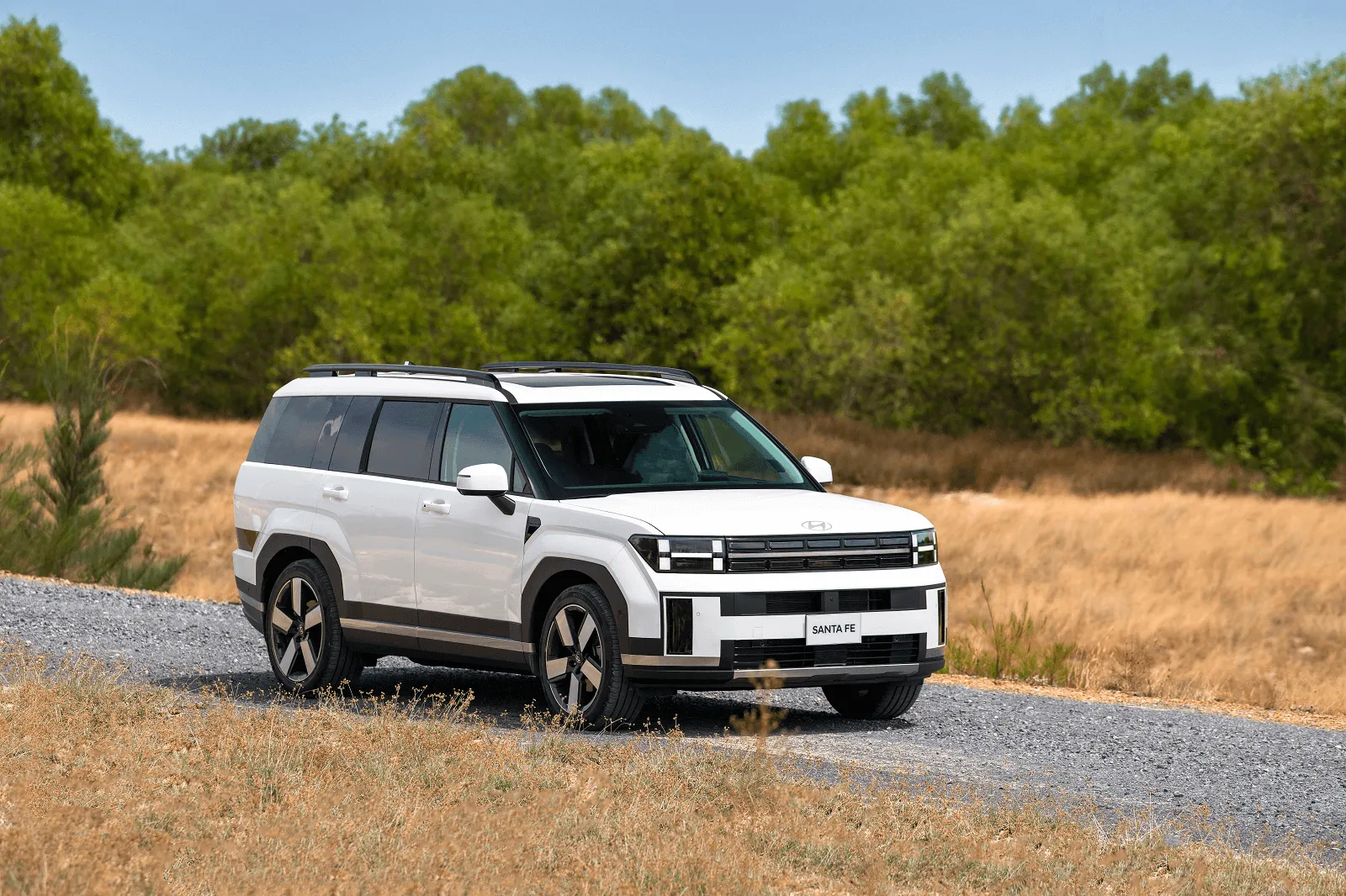 Hyundai SantaFe Hyundai SantaFe